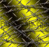 Barbed Wire Decals and Stickers