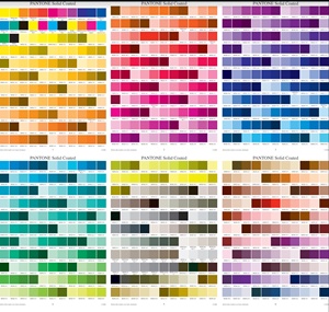 Pantone Color Chart