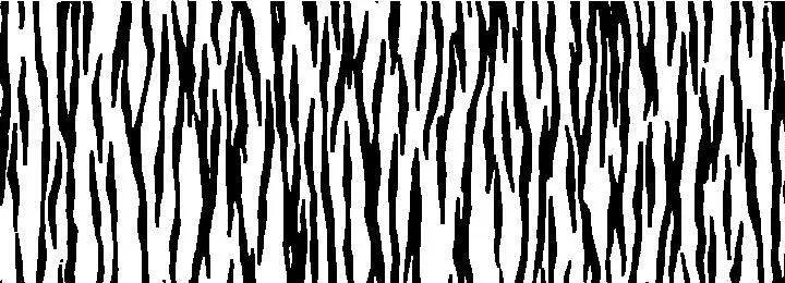 Sticker Tiger Stripe Pattern 
