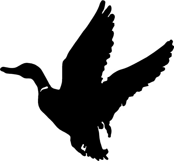 Animal Decals :: Duck Decal / Sticker