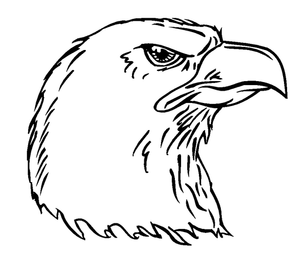 EAGLES MASCOT DECAL / STICKER 6