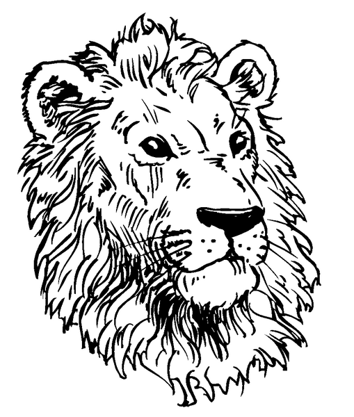 LIONS MASCOT DECAL / STICKER 5