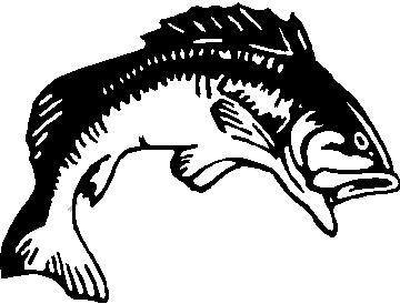 Fish Decal / Sticker 05