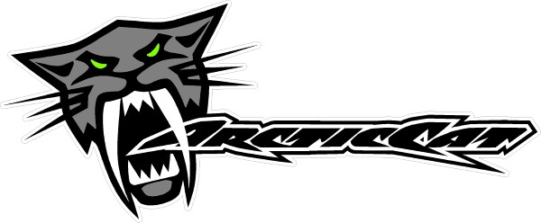 ARCTIC CAT DECAL / STICKER 17