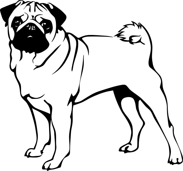 PUG DECAL / STICKER 03