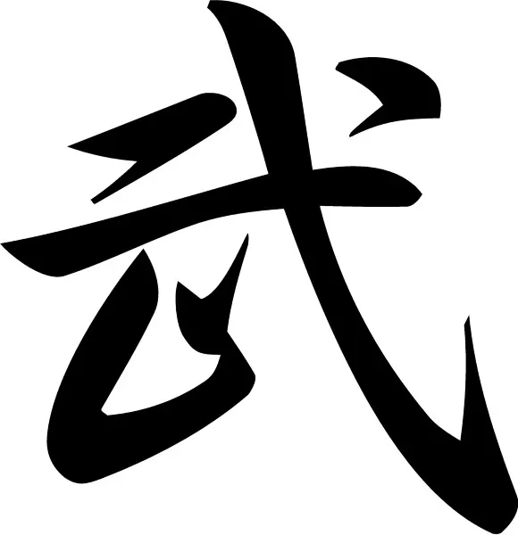 Thunder Japanese Kanji Vinyl Decal