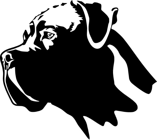 Cane Corso Decal / Sticker 01