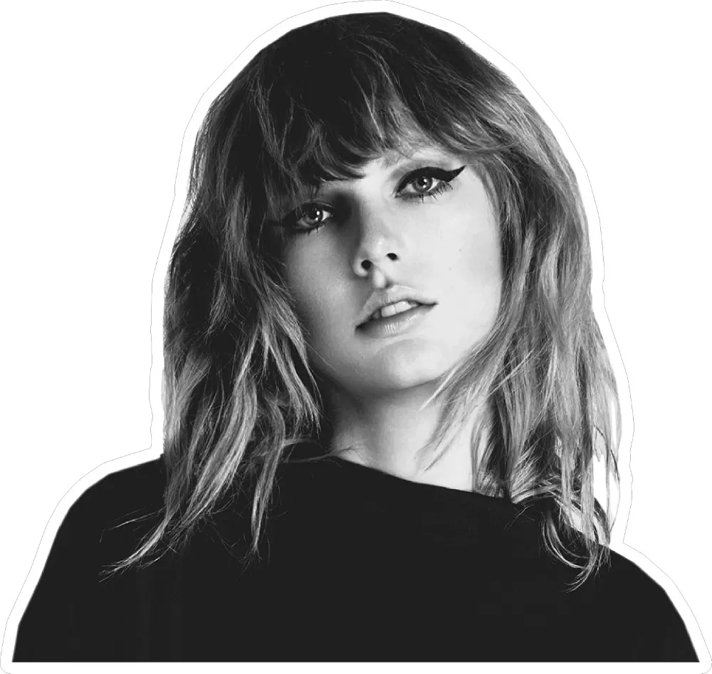 11 Taylor Swift Vinyl Stickers