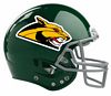 Green Football Helmet Decal / Stickers