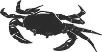 Crab Decal / Sticker