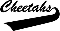 Cheetahs Mascot Decal / Sticker