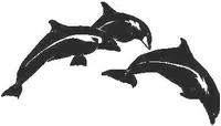 Dolphin Decal / Sticker 01