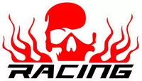 Skull Racing Decal / Sticker 01