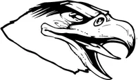 Hawks / Falcons Head Mascot Decal / Sticker