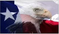 Texas Eagle Flag Decal / Sticker