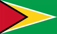 Guyana Flag Decal / Sticker 01