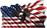 American Flag Eagle Waving Decal / Sticker 14