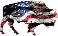 American Flag Bison Decal / Sticker