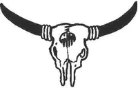 Bull Skull 05 Decal / Sticker