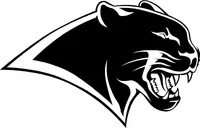 Cougars / Panthers Mascot Decal / Sticker 01