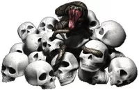 Snake Skull Pile Decal / Sticker 02