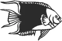 Fish Decal / Sticker 03