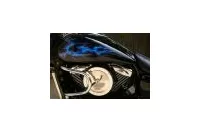 Blue True Fire Decal / Sticker B11