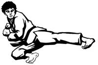 Karate Decal / Sticker