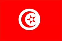 Tunisia Flag Decal / Sticker