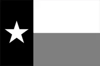 Black and White Texas Flag Decal / Sticker 08