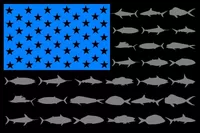 American Flag Fish Decal / Sticker 112 Black, Sky Blue and Gray