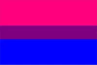 Bisexual Flag Decal / Sticker 01