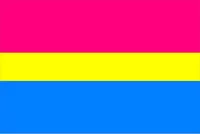 Pansexual Flag Decal / Sticker 02