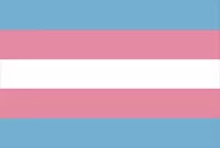 Transgender Flag Decal / Sticker 01