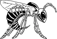 Hornet, Yellow Jacket, Bee Mascot Decal / Sticker