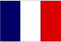 France Flag Decal / Sticker