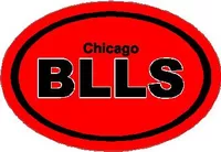 Chicago Bulls Oval Decal / Sticker