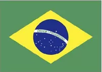 Brazilian Flag Decal / Sticker