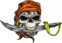 Pirate Skull with Sword Decal / Sticker