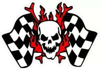 Skull and Checkered Flag Decal / Sticker 02