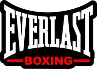 Everlast Boxing Decal / Sticker 04