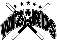 Wizards Mascot Decal / Sticker