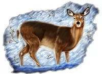 Deer Decal / Sticker 01