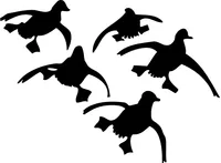 5 Ducks Flying Decal / Sticker 26