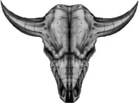 Longhorn Skull Decal / Sticker 01