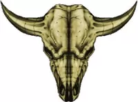 Longhorn Skull Decal / Sticker 02