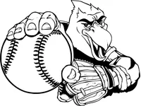 Baseball Hawks / Falcons Mascot Decal / Sticker