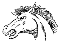 Horse Mascot Head Decal / Sticker 3