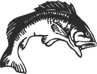 Bass 02 Fish Decal / Sticker