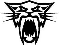 Arctic Cat Head decal / sticker
